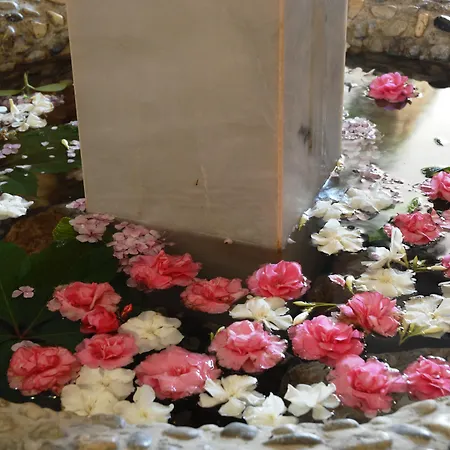 Marti Deluxe Μαρμαρίς