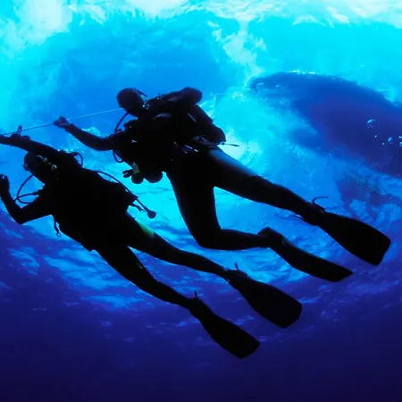 Θέρετρο Marti Deluxe 5*